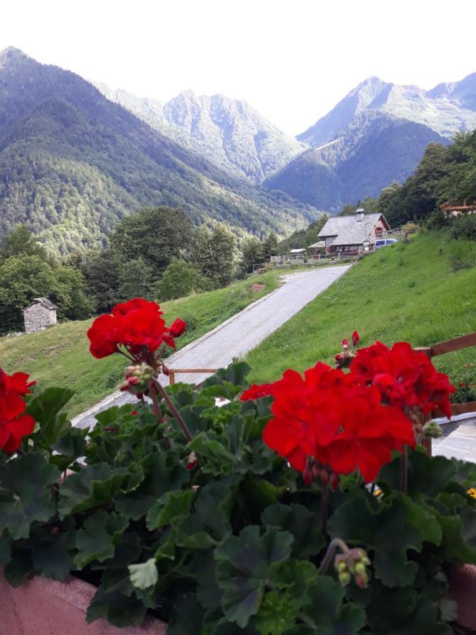 Casa All'Alpe Anzino Esterno foto