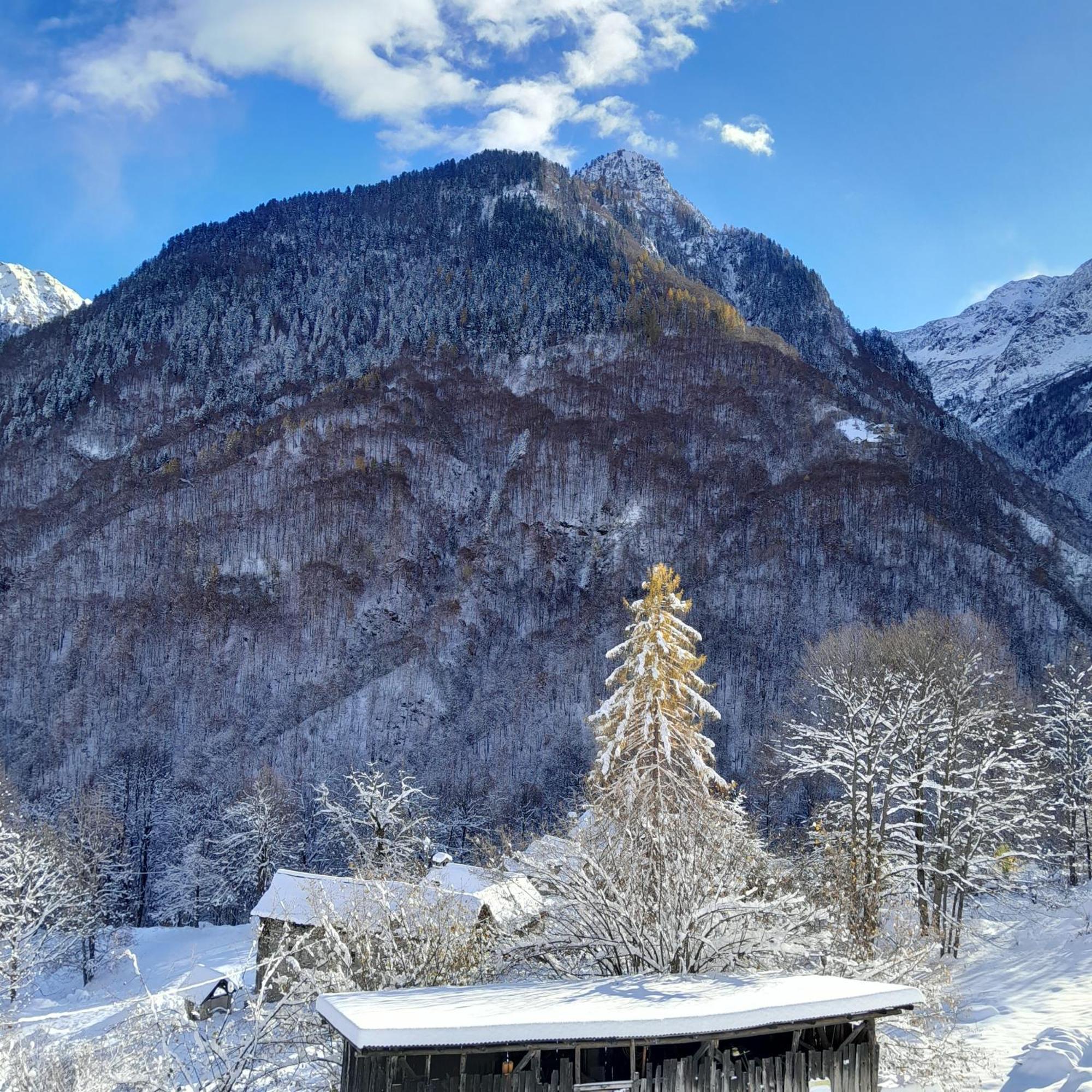 Casa All'Alpe Anzino Esterno foto